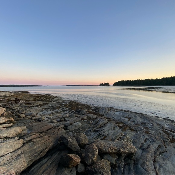 Meet your Posher, Savannah - Picture 1 of 1